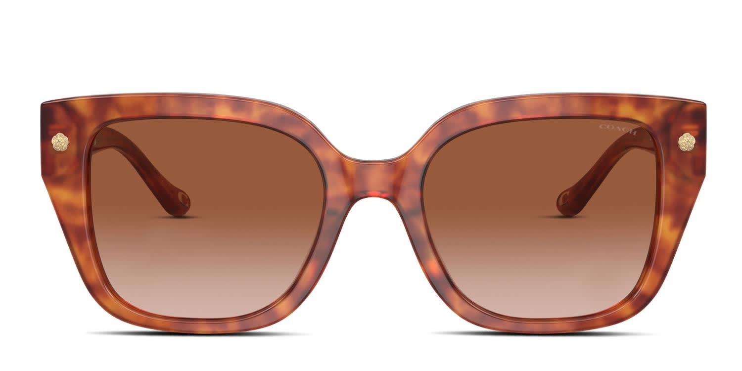 Coach HC8392U Tortoise, Orange glasses - Tortoise / Orange - Frontal View