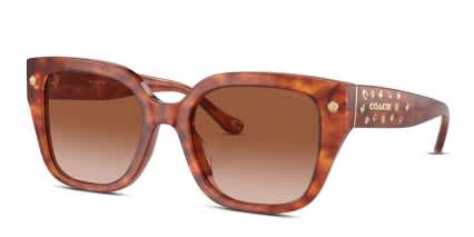 Coach HC8392U Tortoise, Orange glasses - Tortoise / Orange - Angle View