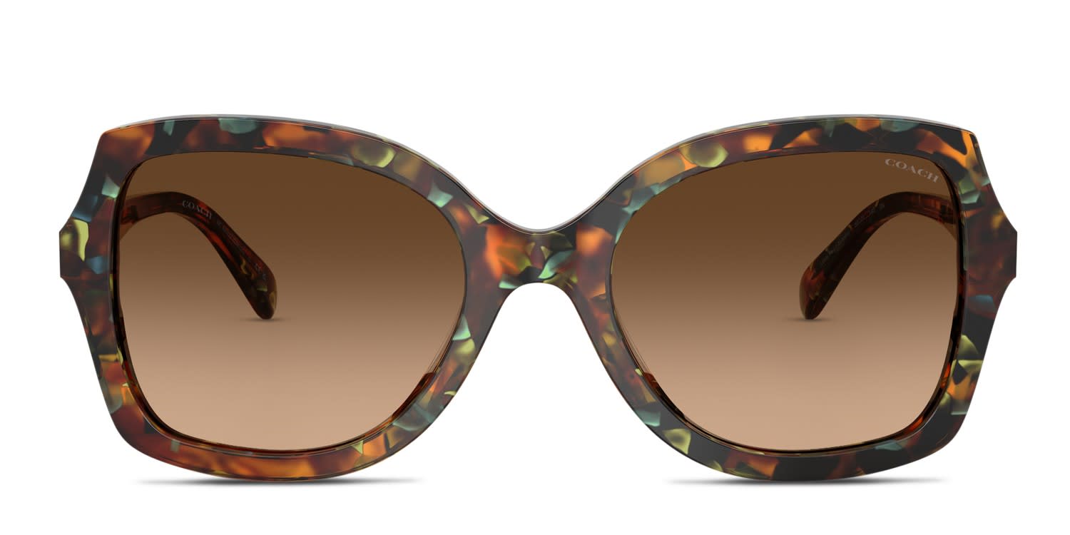 Coach HC8410U Tortoise, Green glasses - Tortoise / Green - Frontal View