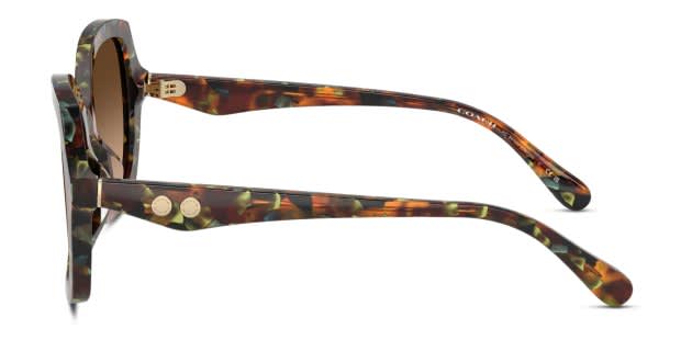 Coach HC8410U Tortoise, Green frame with brown gradient  display picture 1