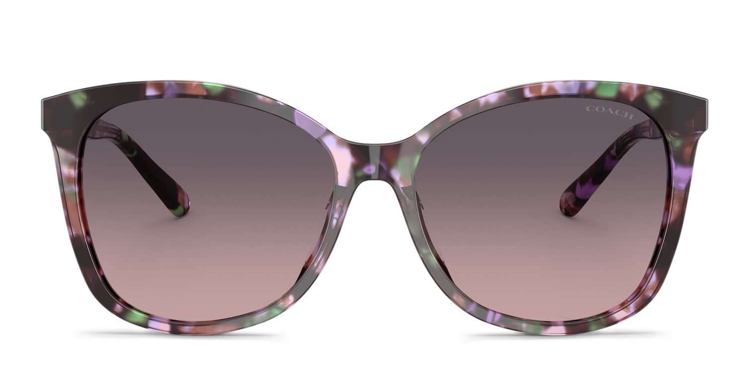 Coach HC8271U Tortoise, Purple, Green glasses - Tortoise / Purple / Green - Frontal View