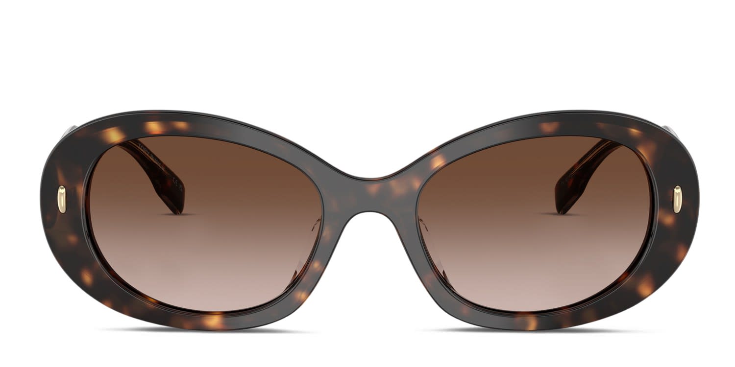 kashimaantlers1981 !2021年製!39V型 Coach HC8168 Brown, Tortoise Prescription Sunglasses - 50