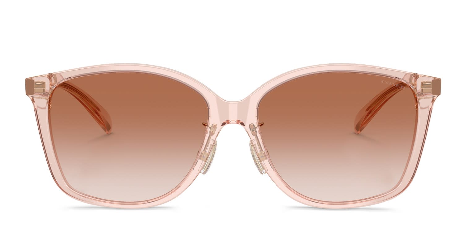 Coach HC8361F Pink glasses - Pink - Frontal View