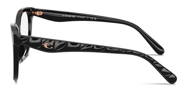 Coach HC6256U black frame