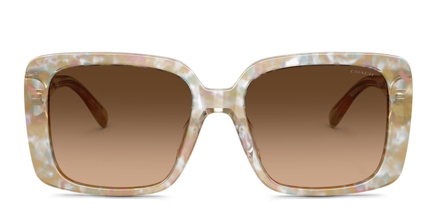 Coach HC8424U brown frame with brown gradient lenses. Lenses  display picture 2