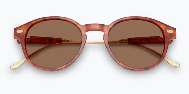 Coach HC8428U gold , tortoise frame with brown solid lenses  display picture 1