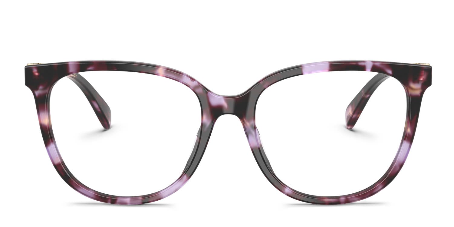 COACH プレミアムベア Coach HC6260U purple , tortoise frame