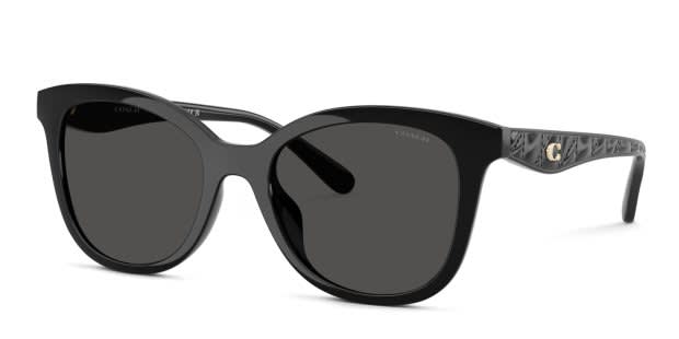 Coach HC8419U black frame with grey solid lenses. Lenses 