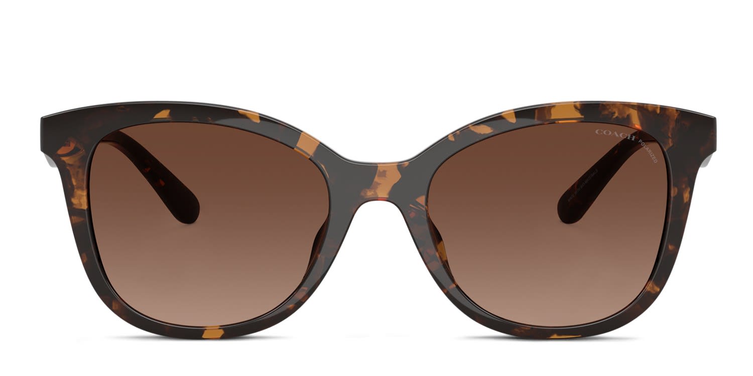 Moschino MOS134/F/S multicolor , tortoise frame with gradient