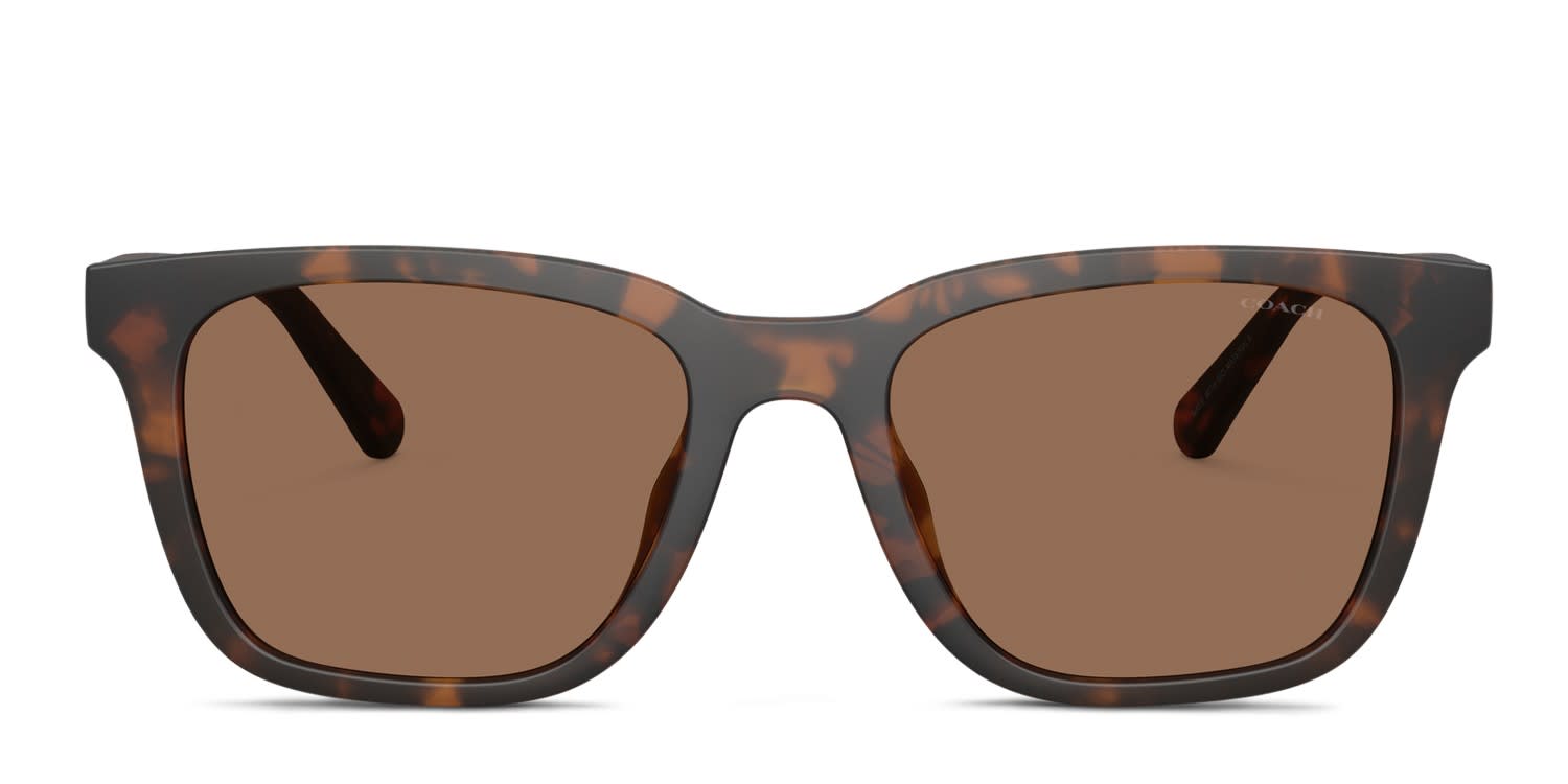 Coach HC8426U Tortoise, Brown glasses - Tortoise / Brown - Frontal View