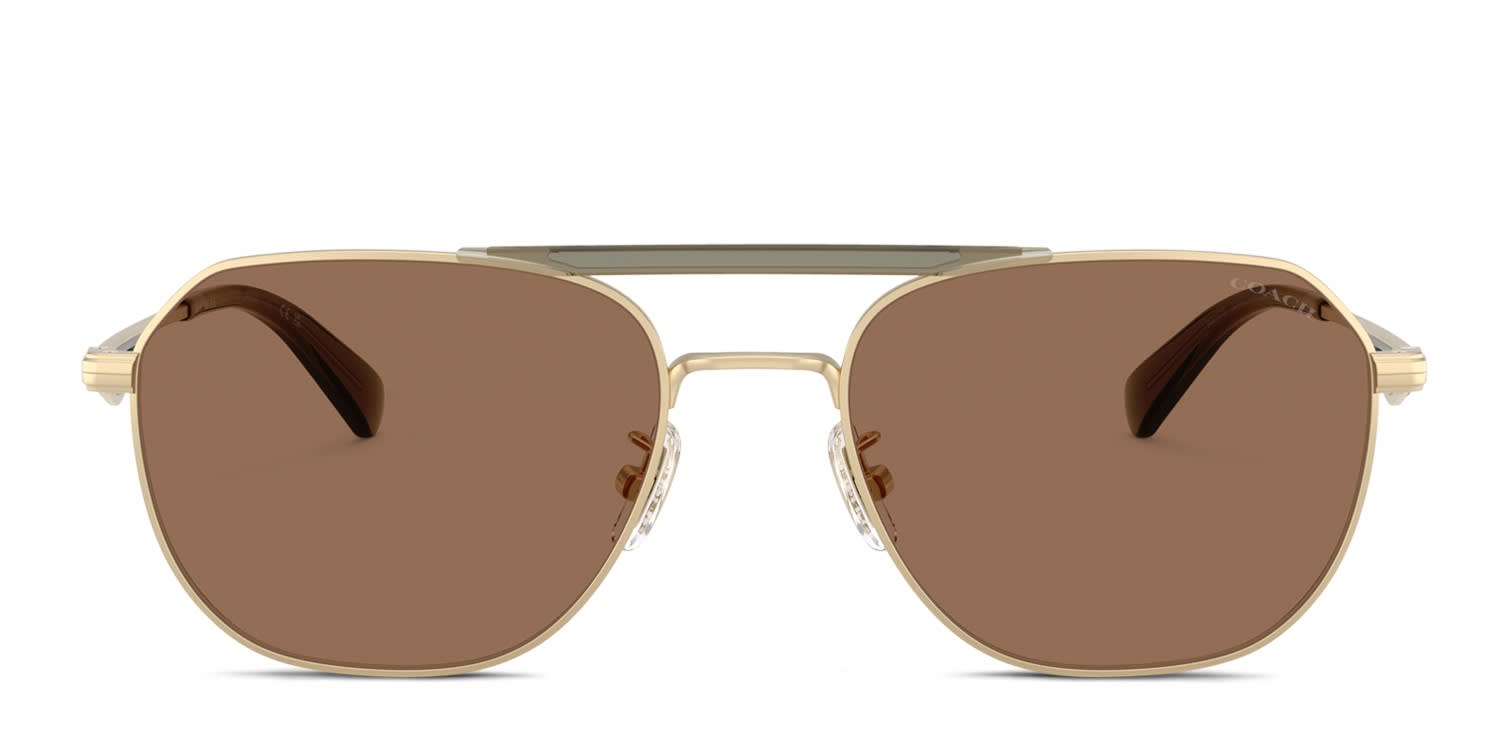 Coach HC7178 Gold, Green, Brown glasses - Gold / Green / Brown - Frontal View