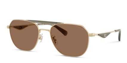 Coach HC7178 Gold, Green, Brown glasses - Gold / Green / Brown - Angle View