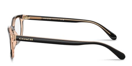 Coach HC6174 Black, Clear, Pink glasses - Black / Clear / Pink - Side View
