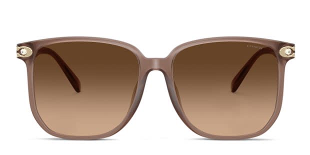 Coach HC8413BD white , brown frame with brown gradient lenses
