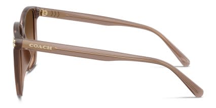 Coach HC8413BD White, Brown glasses - Brown / Gold - Side View