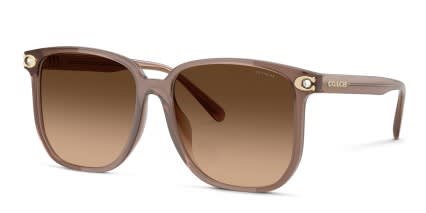 Coach HC8413BD White, Brown glasses - Brown / Gold - Angle View