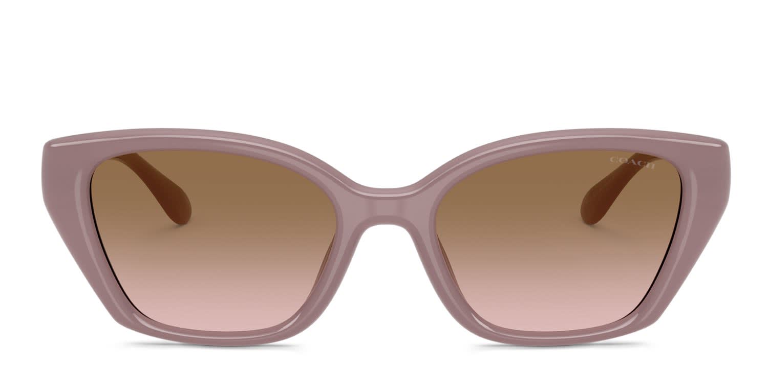 Coach HC8434U Beige glasses - Beige - Frontal View