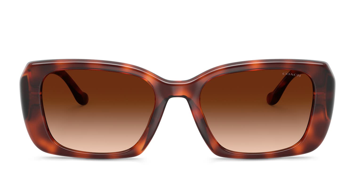 Coach HC8435U Gold, Tortoise, Brown glasses - Gold / Tortoise / Brown - Frontal View