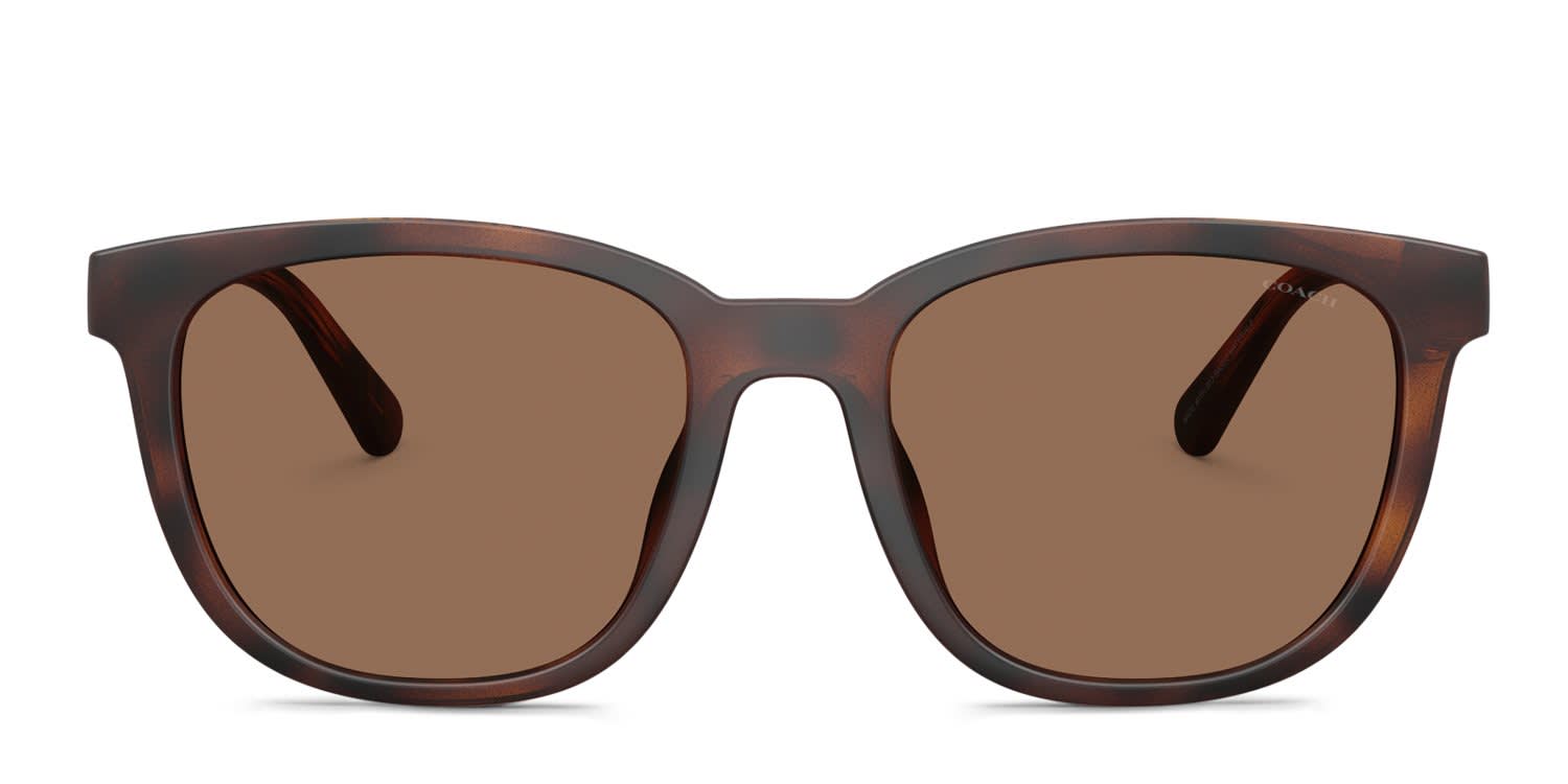 Lui Lacoste L6006S Tortoise, Orange Prescription Sunglasses