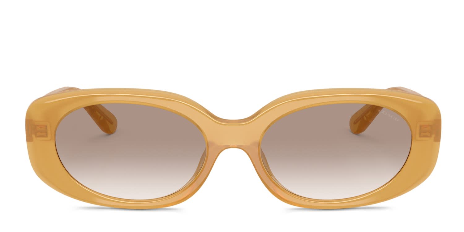 Coach HC8443D White, Brown glasses - Orange / Brown - Frontal View