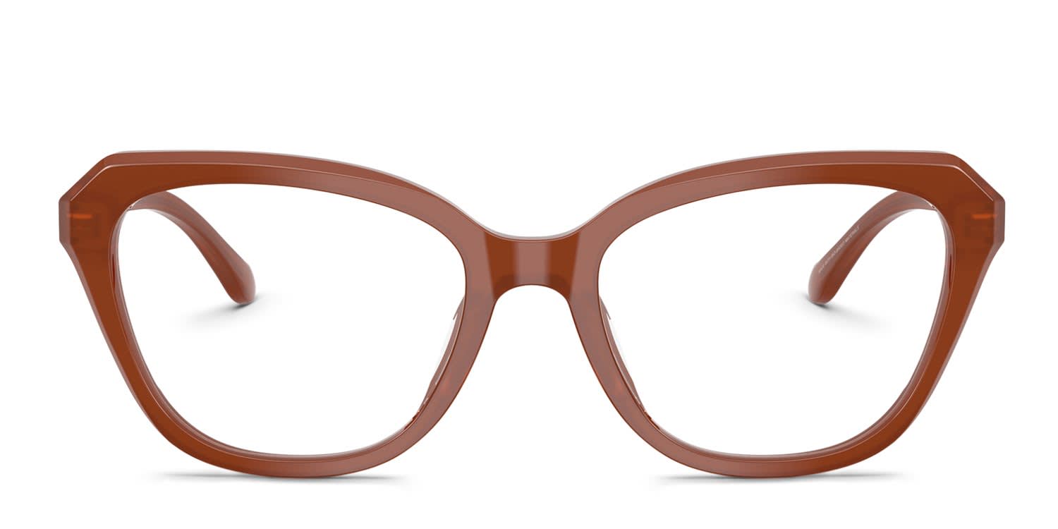 Swarovski Brown Plastic Glasses Women\'s (Frames) Swarovski SK2032 clear , brown frame main image 2