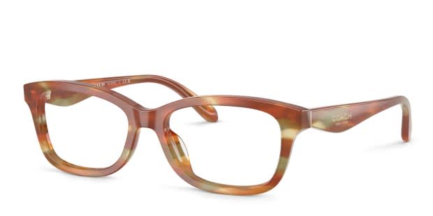 Coach HC6275U tortoise , black frame display picture 2