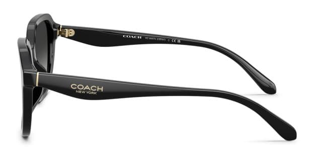 Coach HC8437U Black, Gray