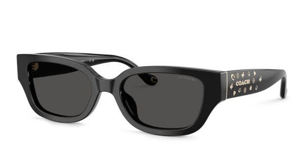 Coach Black Frame Grey Lens Sunglasses‎ NIB HC8439U Coach HC8439U CBZ52 - Rectangle Transparent Light Blue Frame  main image 4