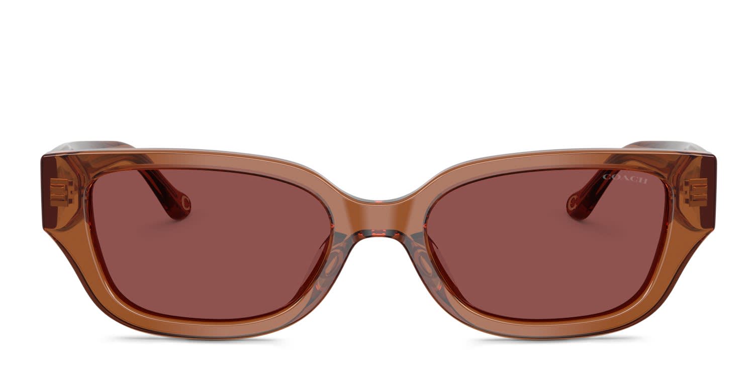 Coach HC8439U Clear, Brown, Red glasses - Clear / Brown / Red - Frontal View