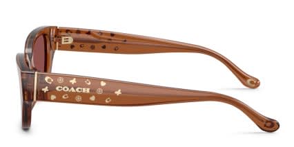 Coach HC8439U Clear, Brown, Red glasses - Clear / Brown / Red - Side View