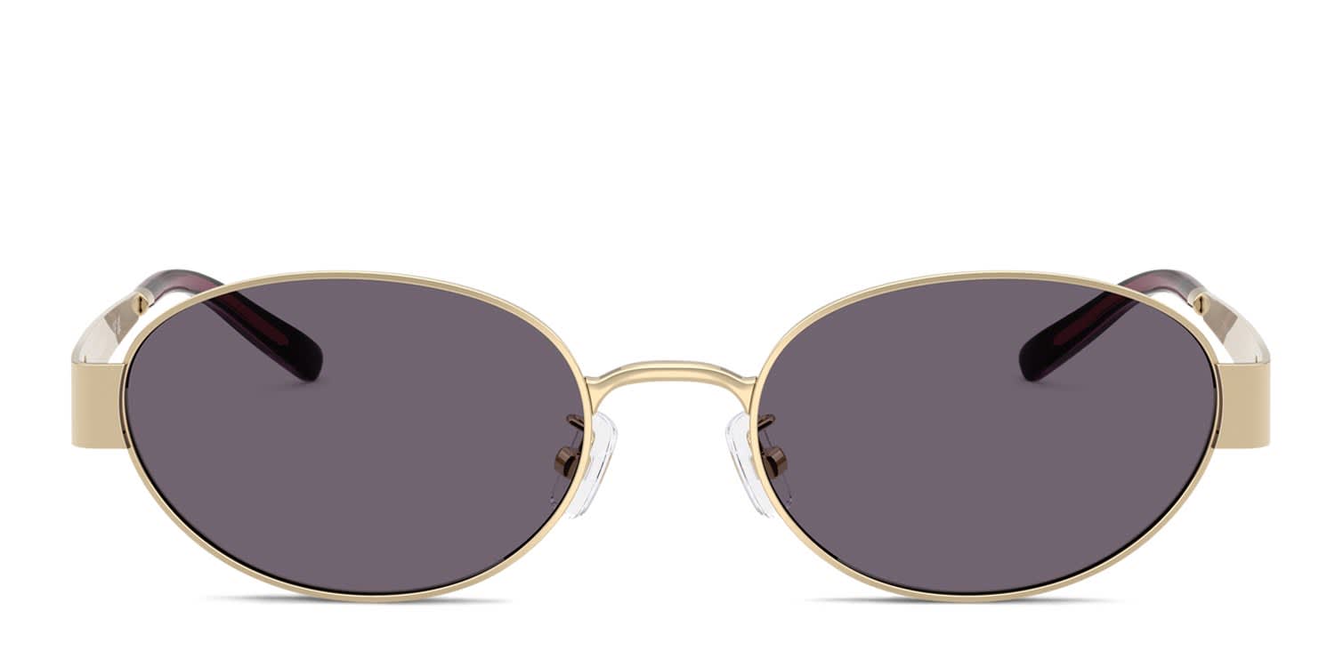 Tory Burch TY6116 Gold, Purple glasses - Gold / Purple - Frontal View