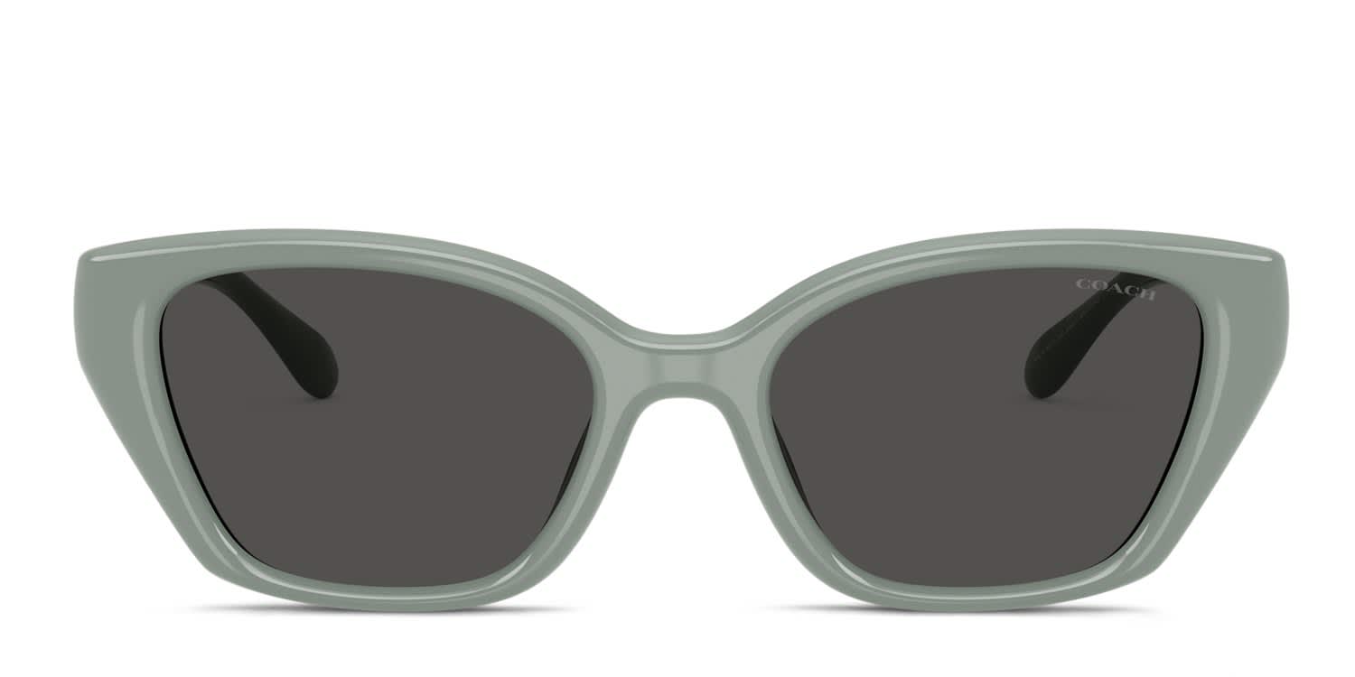 Coach HC8434U Gray glasses - Gray - Frontal View
