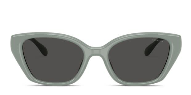 COACH スカルプリント クルーネック M グレー Coach HC8434U gray frame with grey solid lenses. Lenses provide