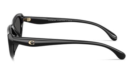 Coach HC8456D Black, Gray glasses - Black / Gray - Side View