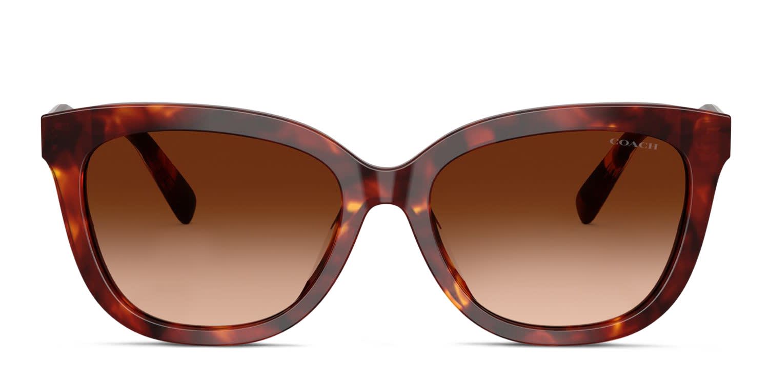 Coach HC8453U Tortoise, Brown glasses - Tortoise / Brown - Frontal View