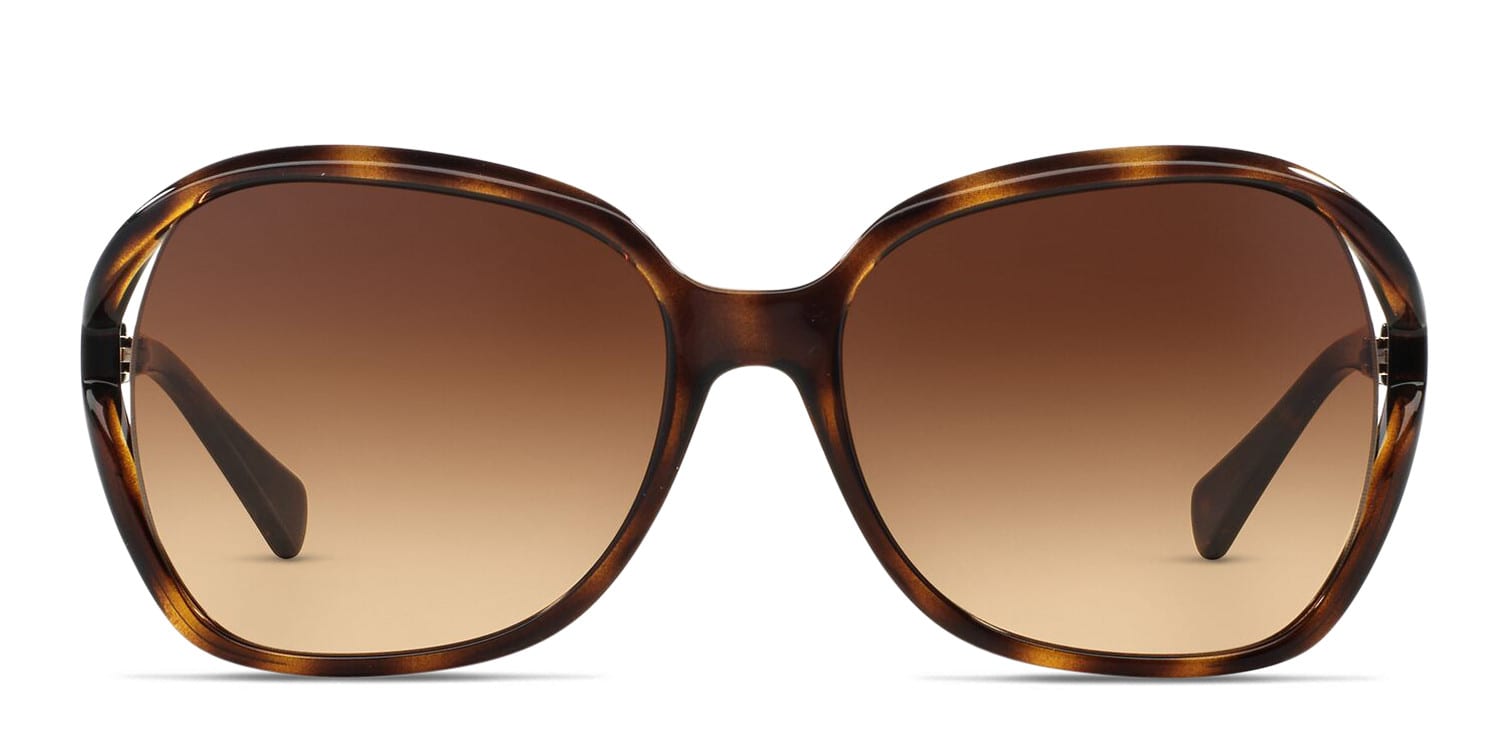 【美品】COACH Coach HC8145 tortoise frame with brown gradient lenses. Lenses