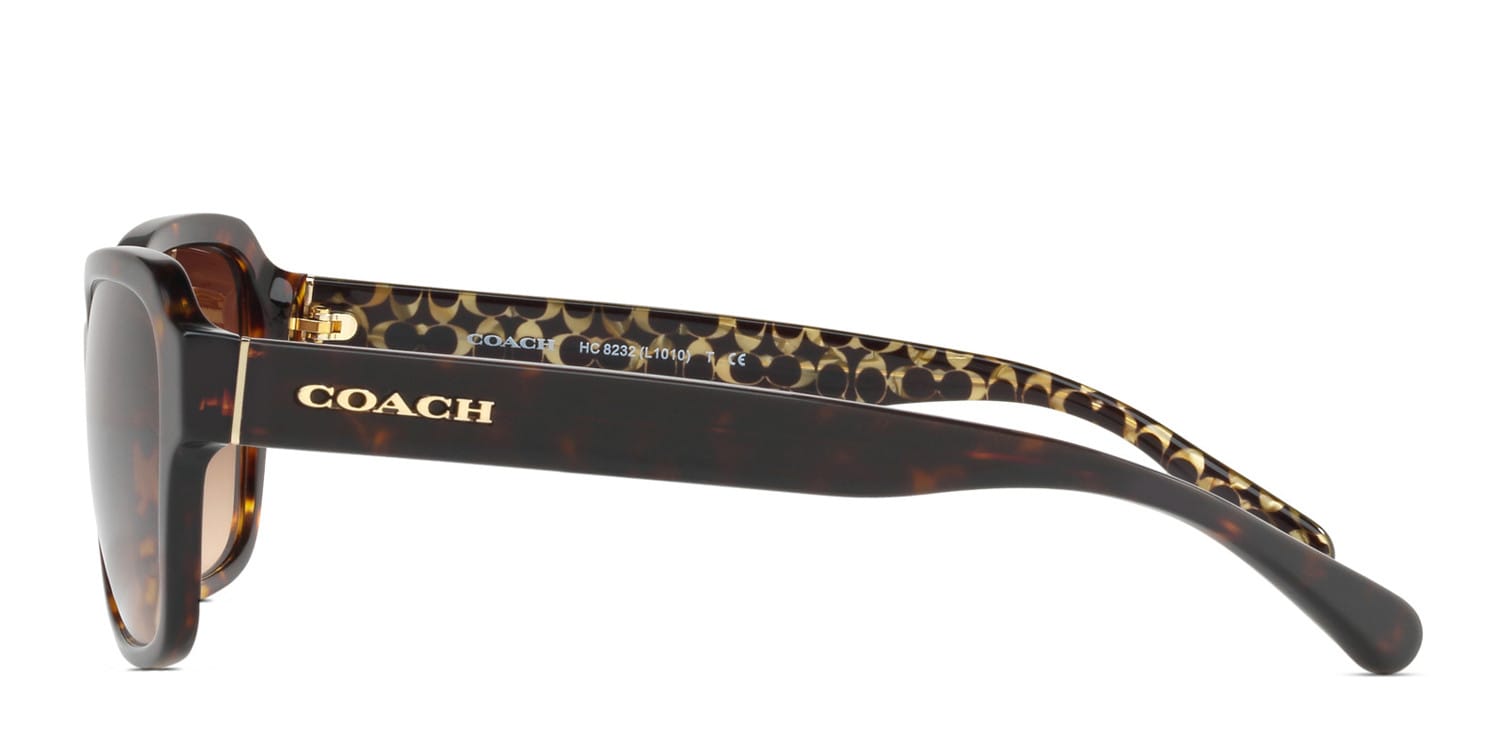 coach sunglasses hc8232