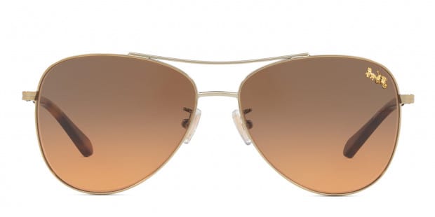 Coach sunglasses hc7079 outlet