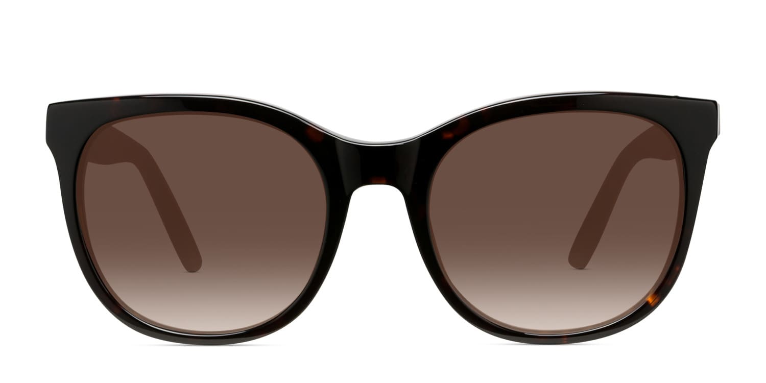Amelia E. Kristy Tortoise glasses - Tortoise - Frontal View
