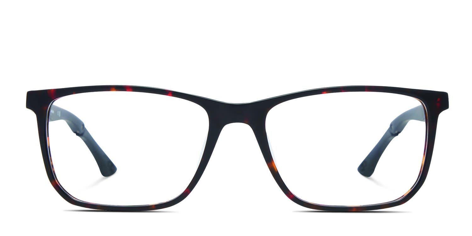 Champion Flow Brown, Tortoise glasses - Brown / Tortoise - Frontal View