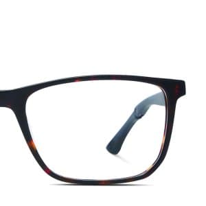frame