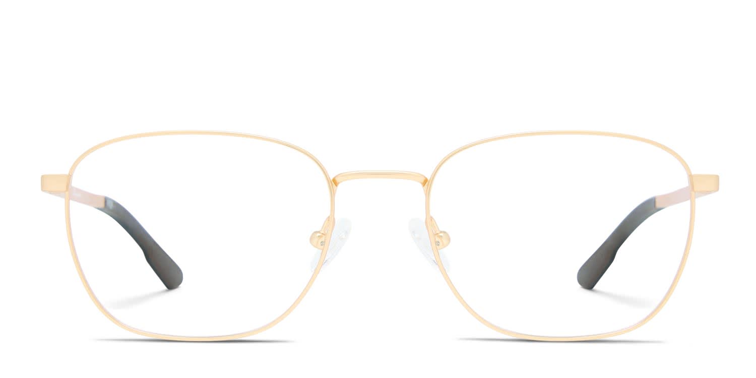 Champion FL1013 Gold glasses - Gold - Frontal View