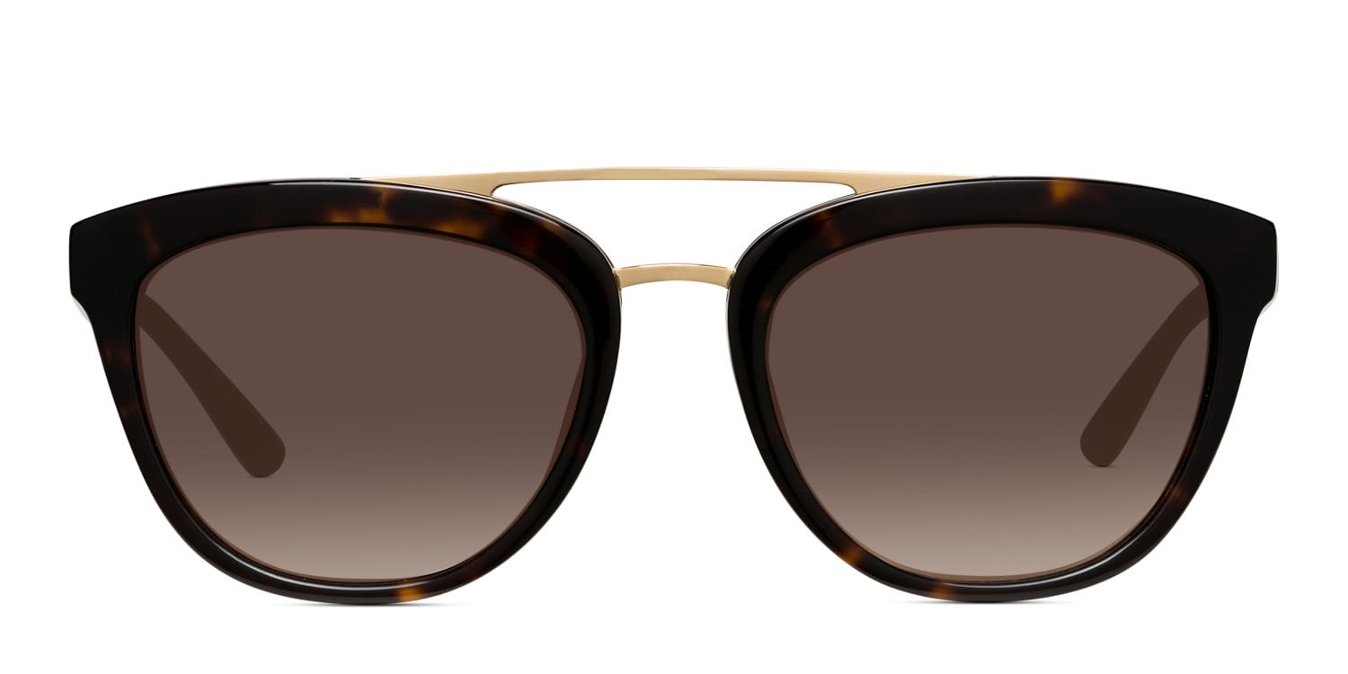 Amelia E. Belmont Tortoise glasses - Tortoise - Frontal View