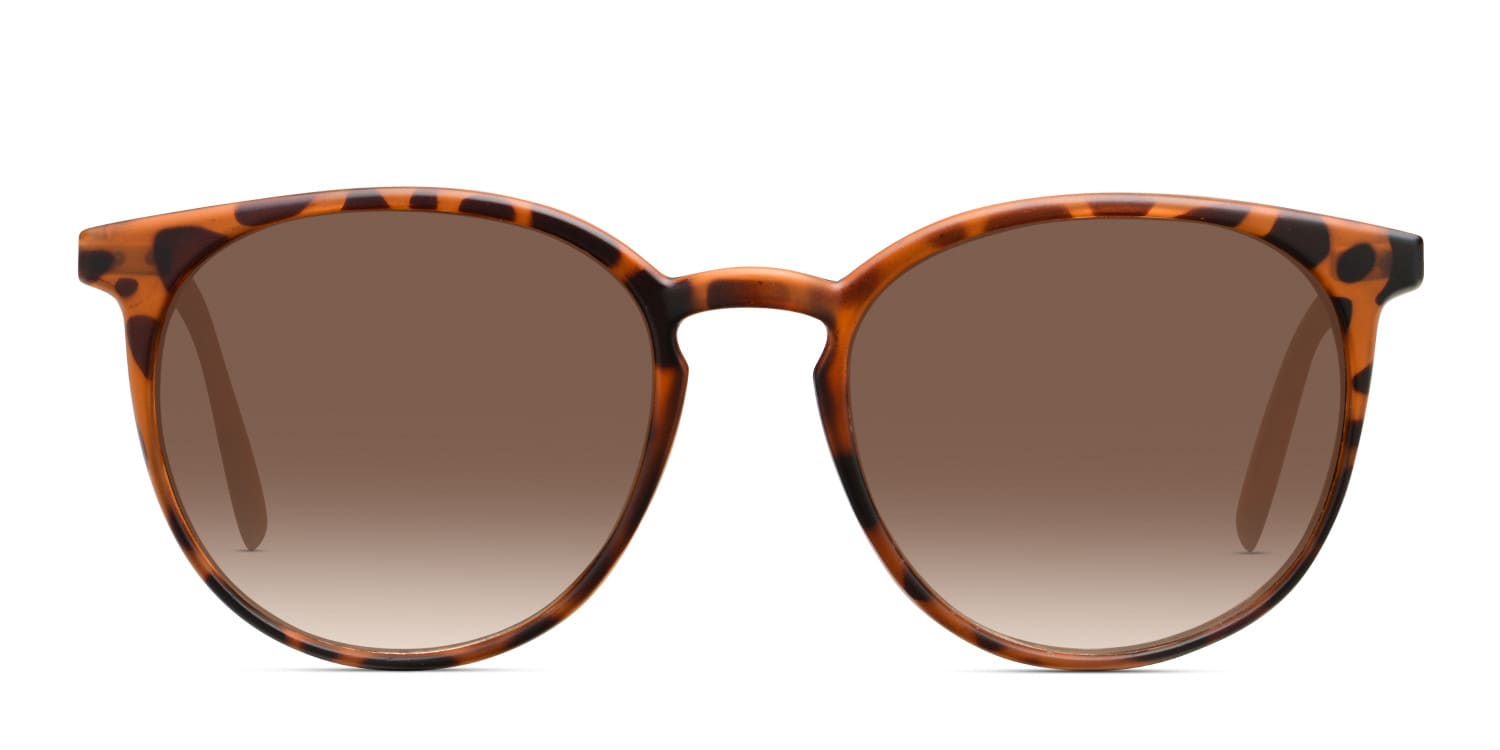 Carolina lemke prescription glasses clearance