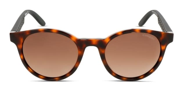 Carrera tortoise best sale sunglasses