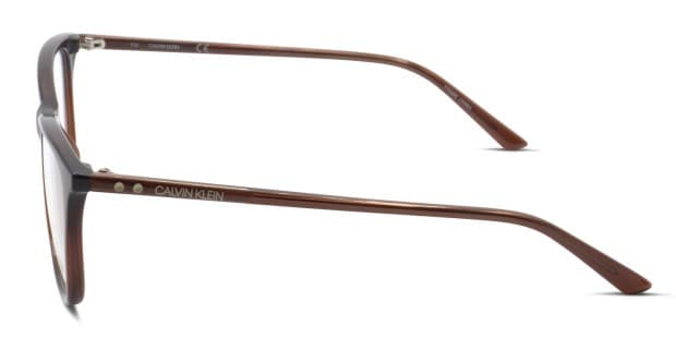 Calvin klein sale brown glasses