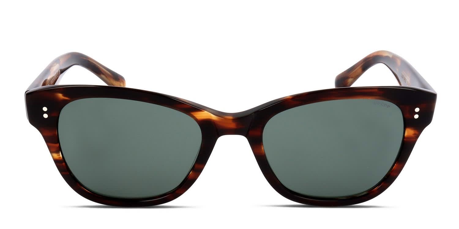 Webee Sunflower Tortoise glasses - Tortoise - Frontal View