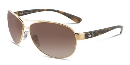 Ray-Ban RB3386 Gold w/Tortoise glasses - Tortoise / Gold - Angle View
