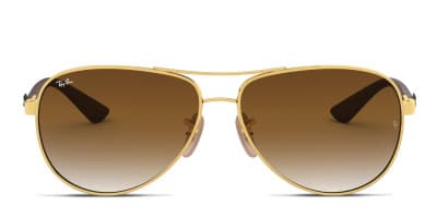 Ray-Ban RB8313