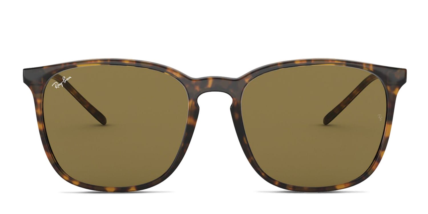 Ray-Ban RB4387 Brown , Tortoise glasses - Brown / Tortoise - Frontal View